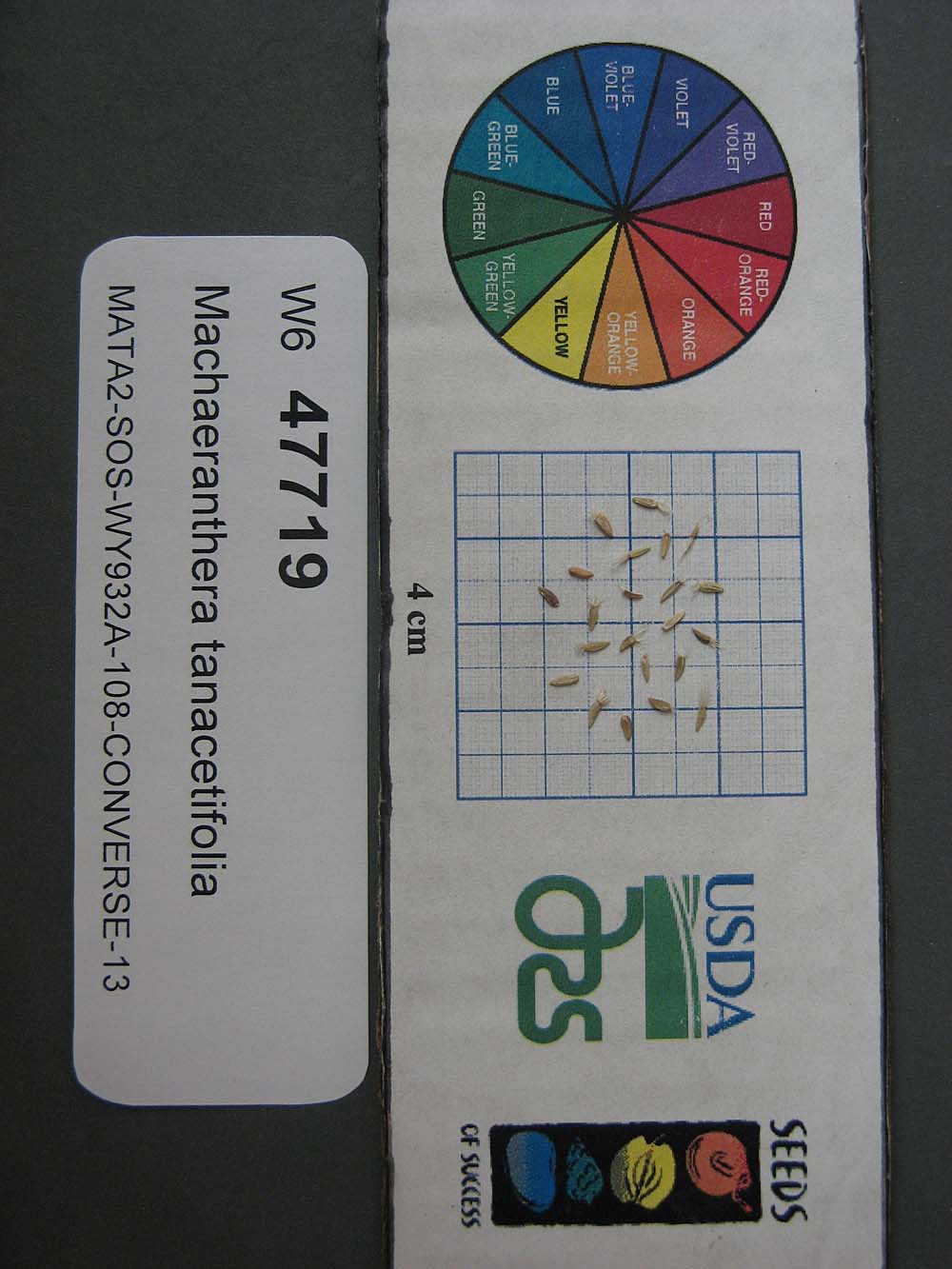 Click for 1 image(s) for this accession. SEED