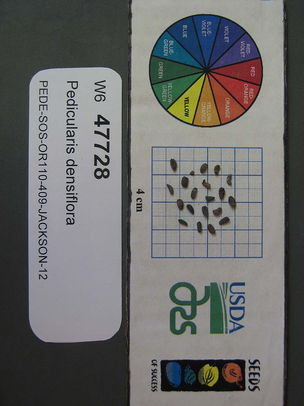 SEED