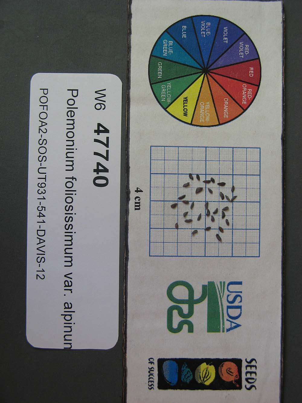 Click for 1 image(s) for this accession. SEED