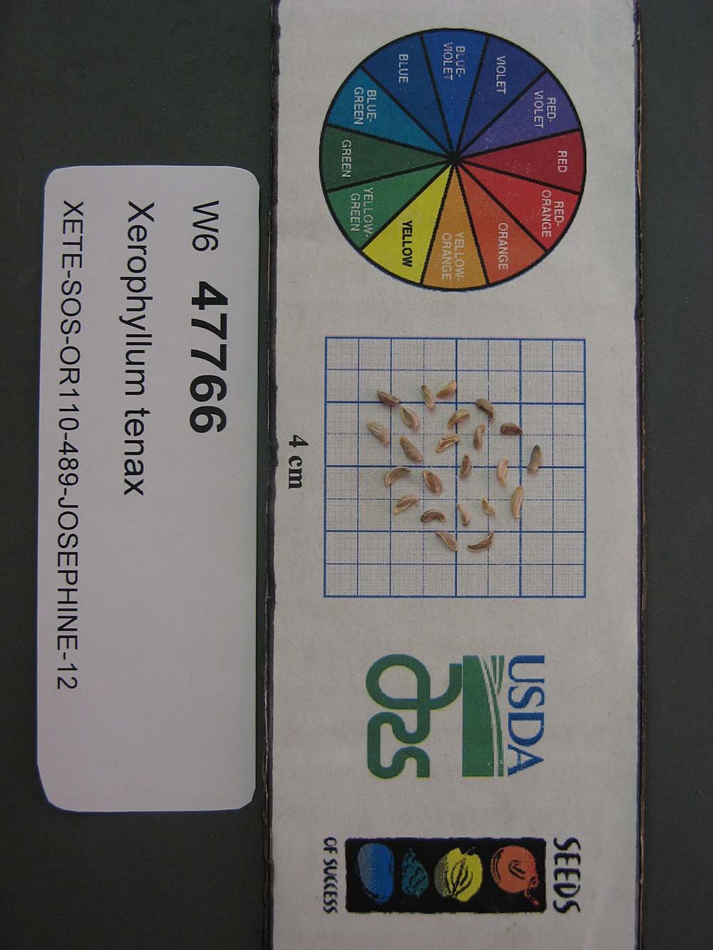 SEED