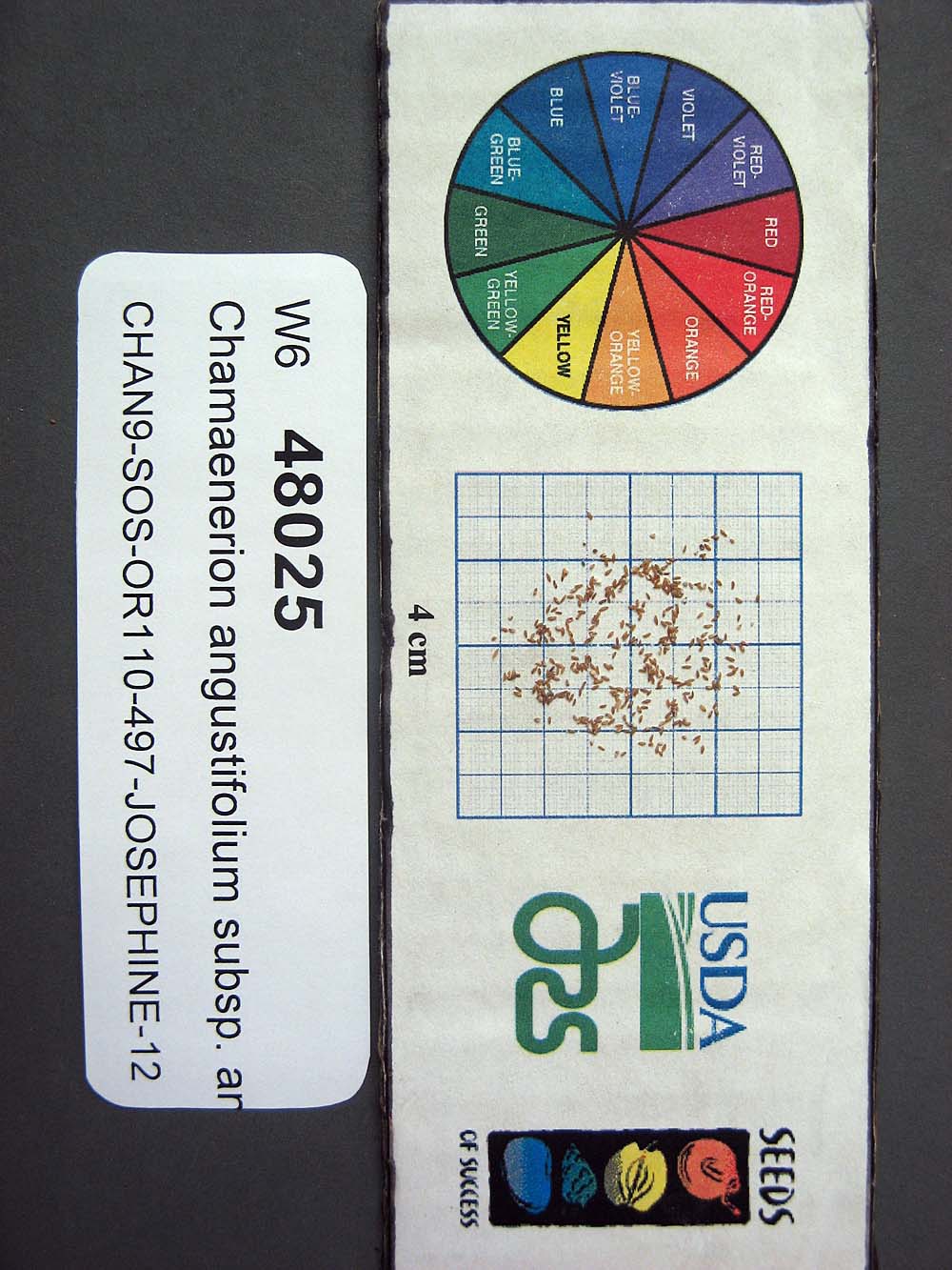 Click for 1 image(s) for this accession. SEED
