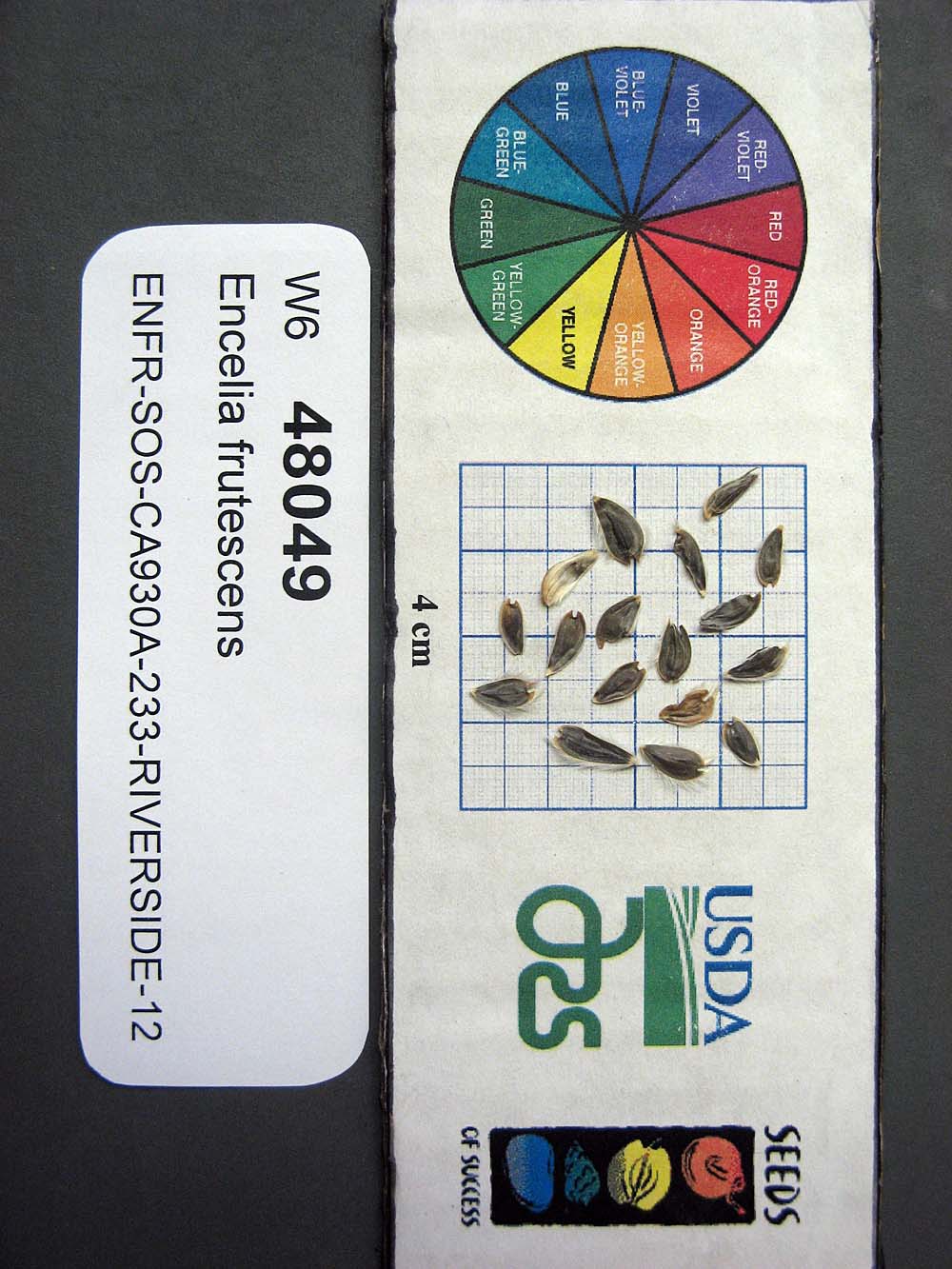 Click for 1 image(s) for this accession. SEED