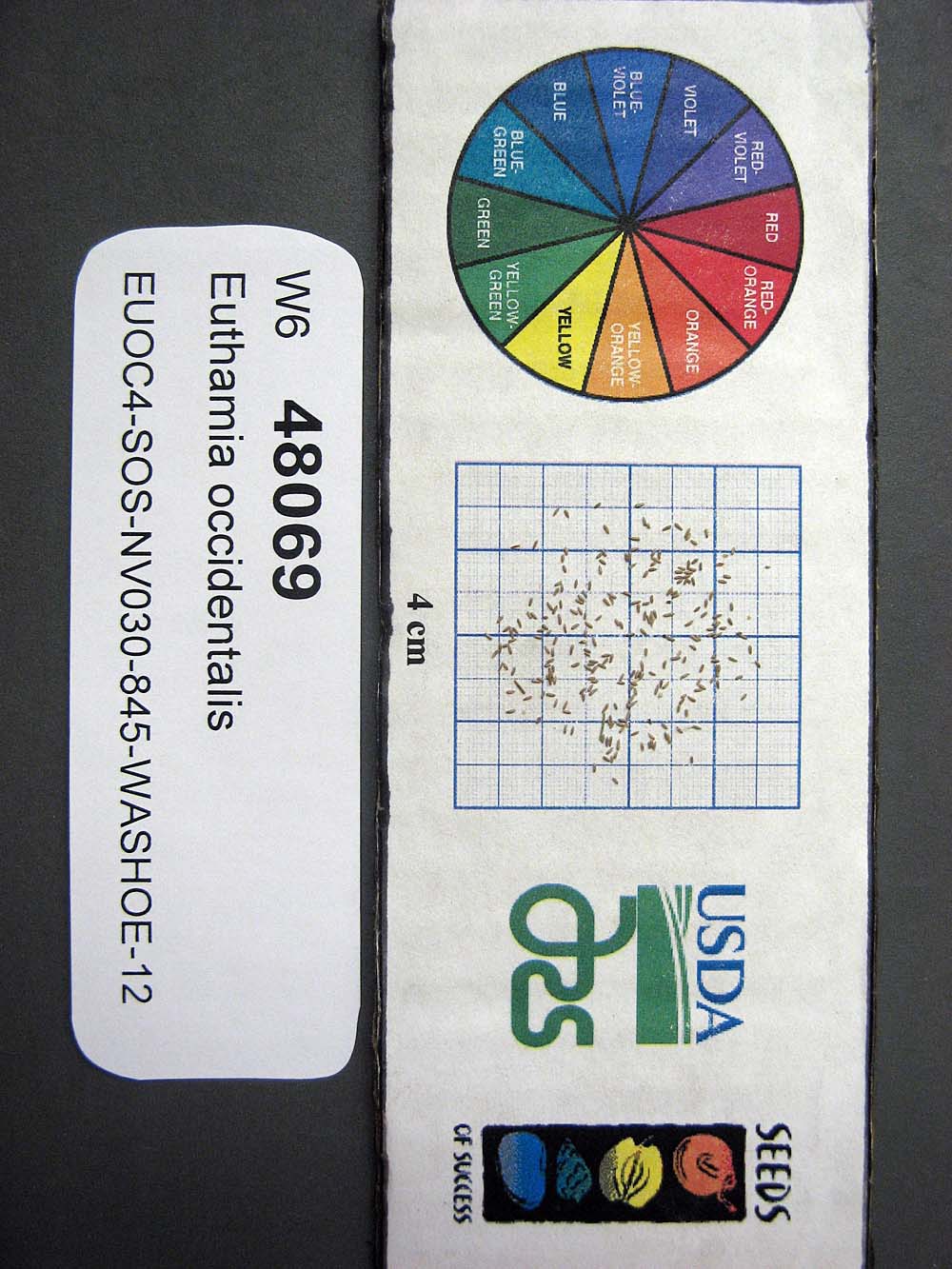 Click for 1 image(s) for this accession. SEED