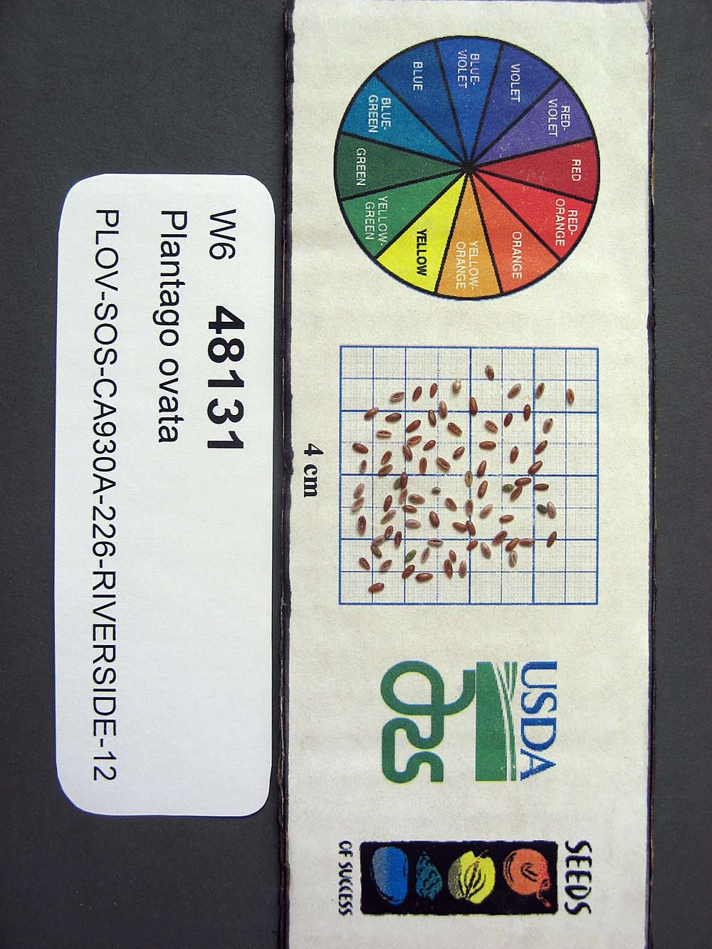 SEED