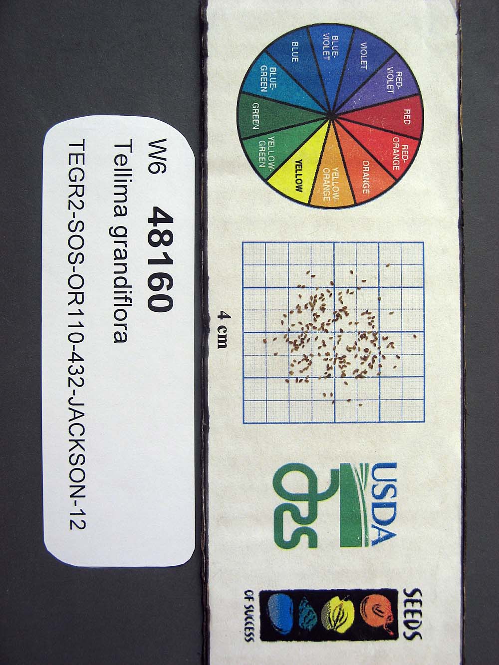SEED