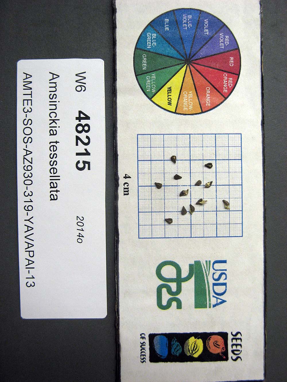 Click for 1 image(s) for this accession. SEED