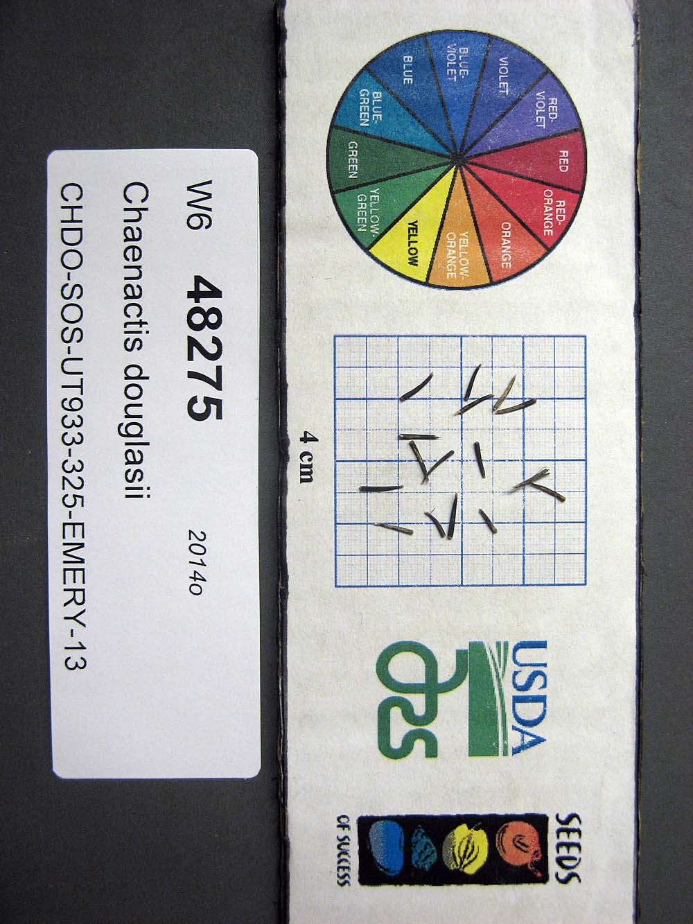 Click for 1 image(s) for this accession. SEED