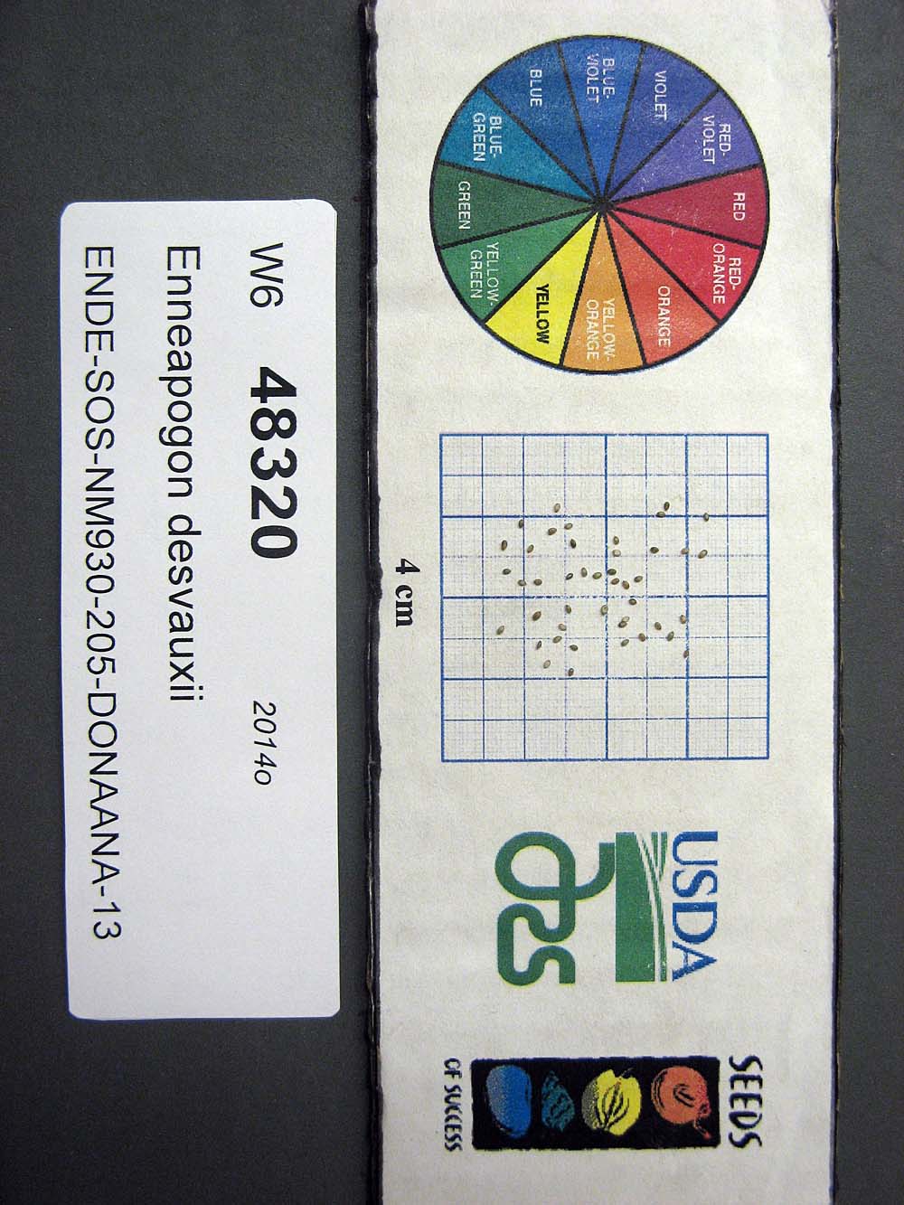 Click for 1 image(s) for this accession. SEED