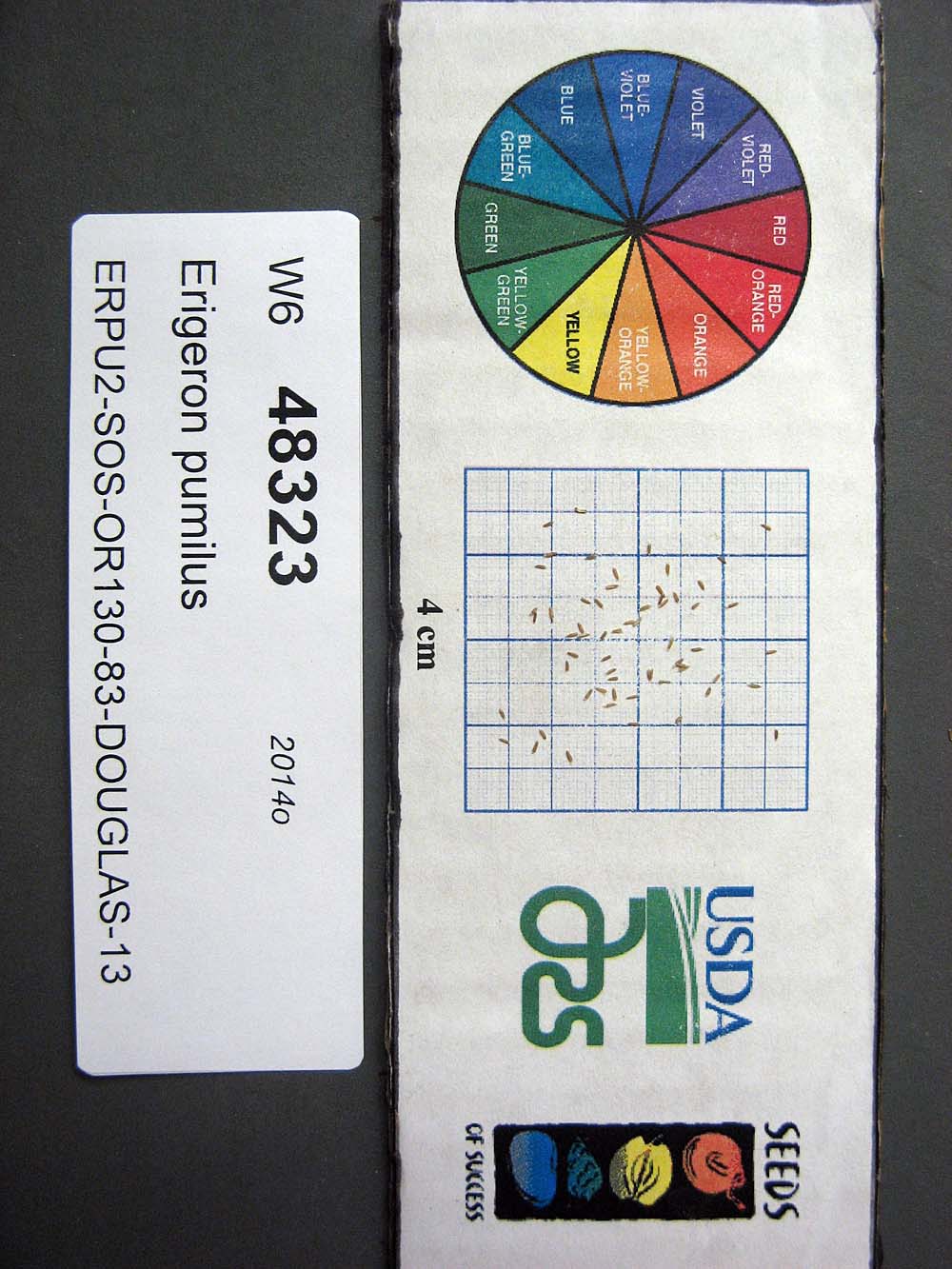 SEED