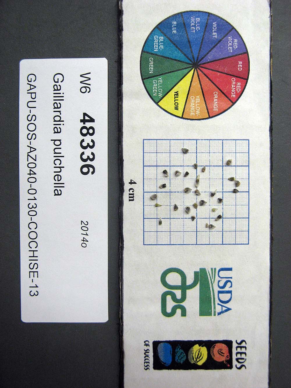 SEED