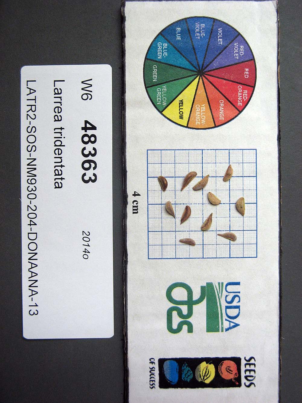 SEED