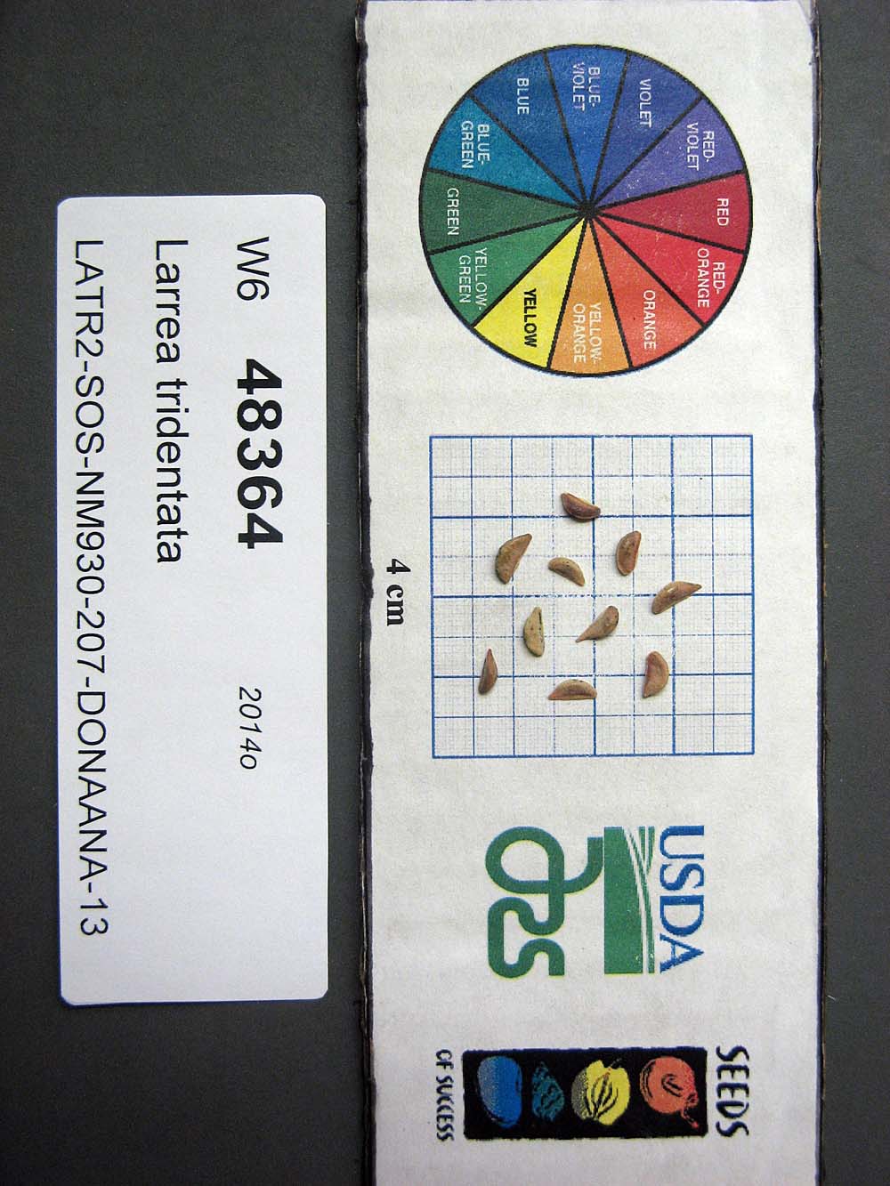 SEED