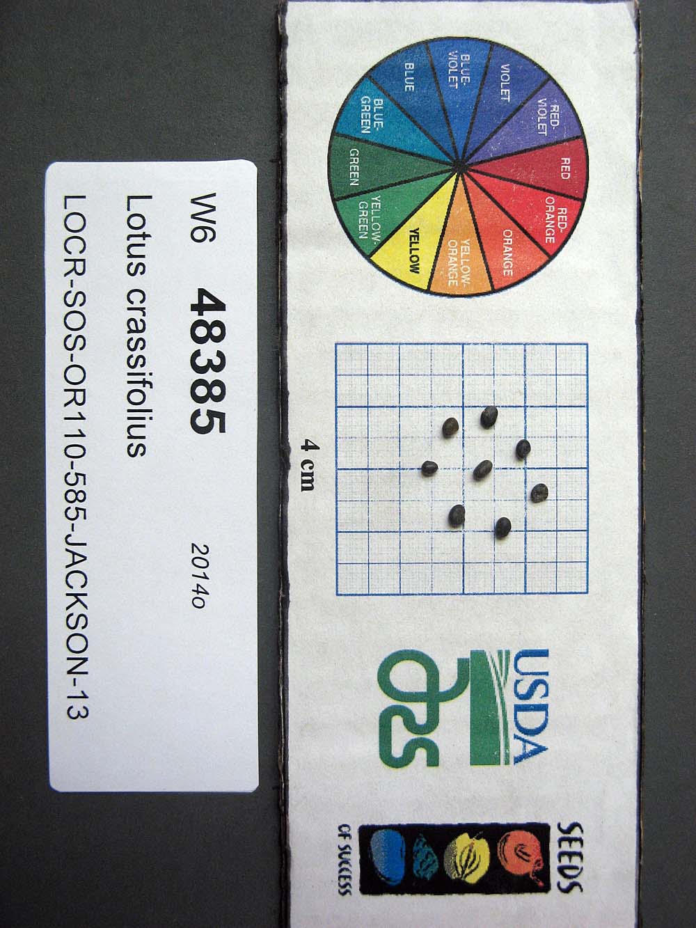 SEED