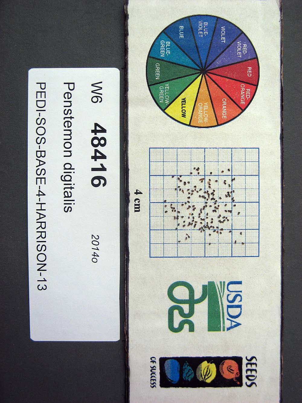 SEED