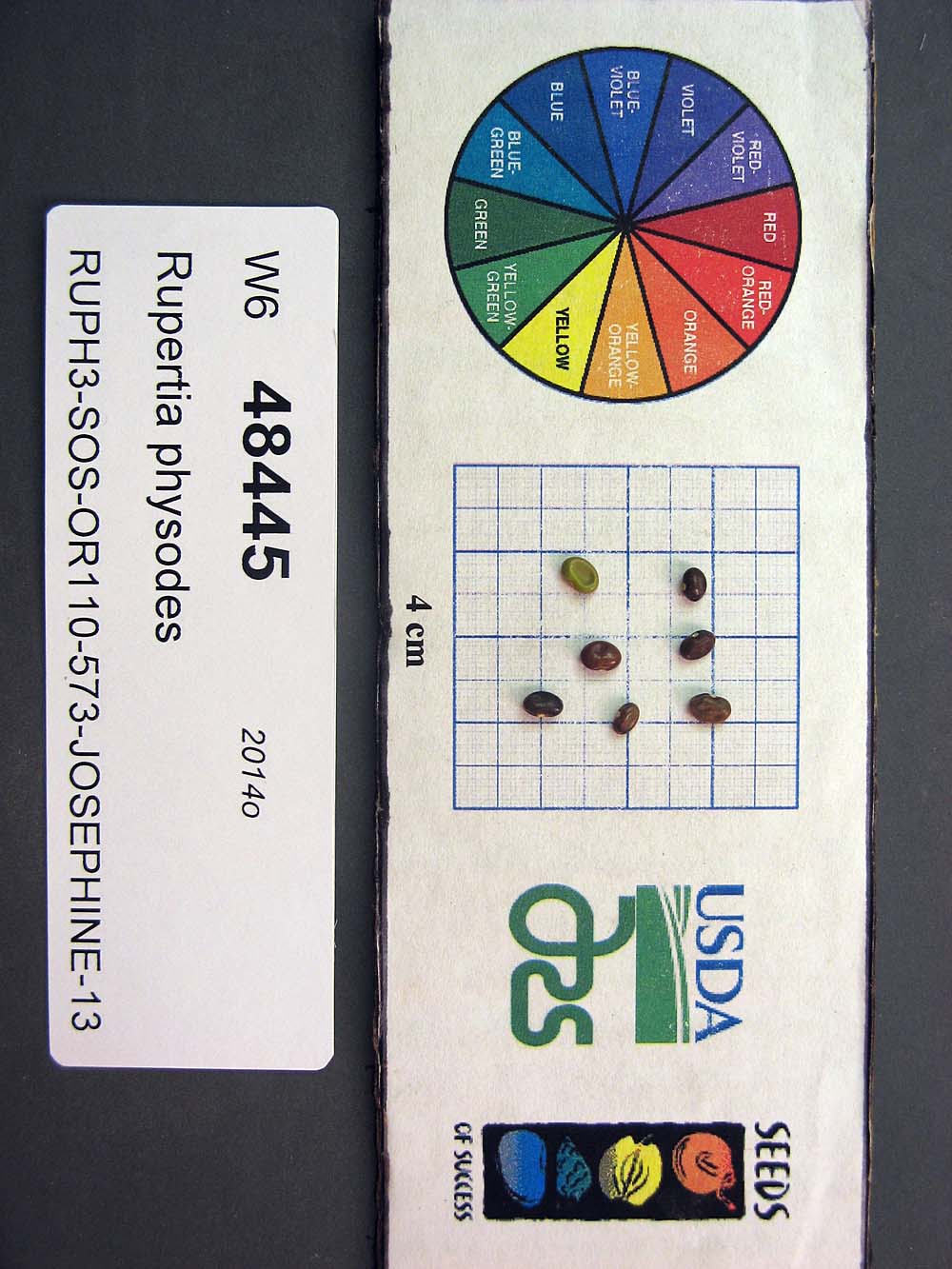 SEED