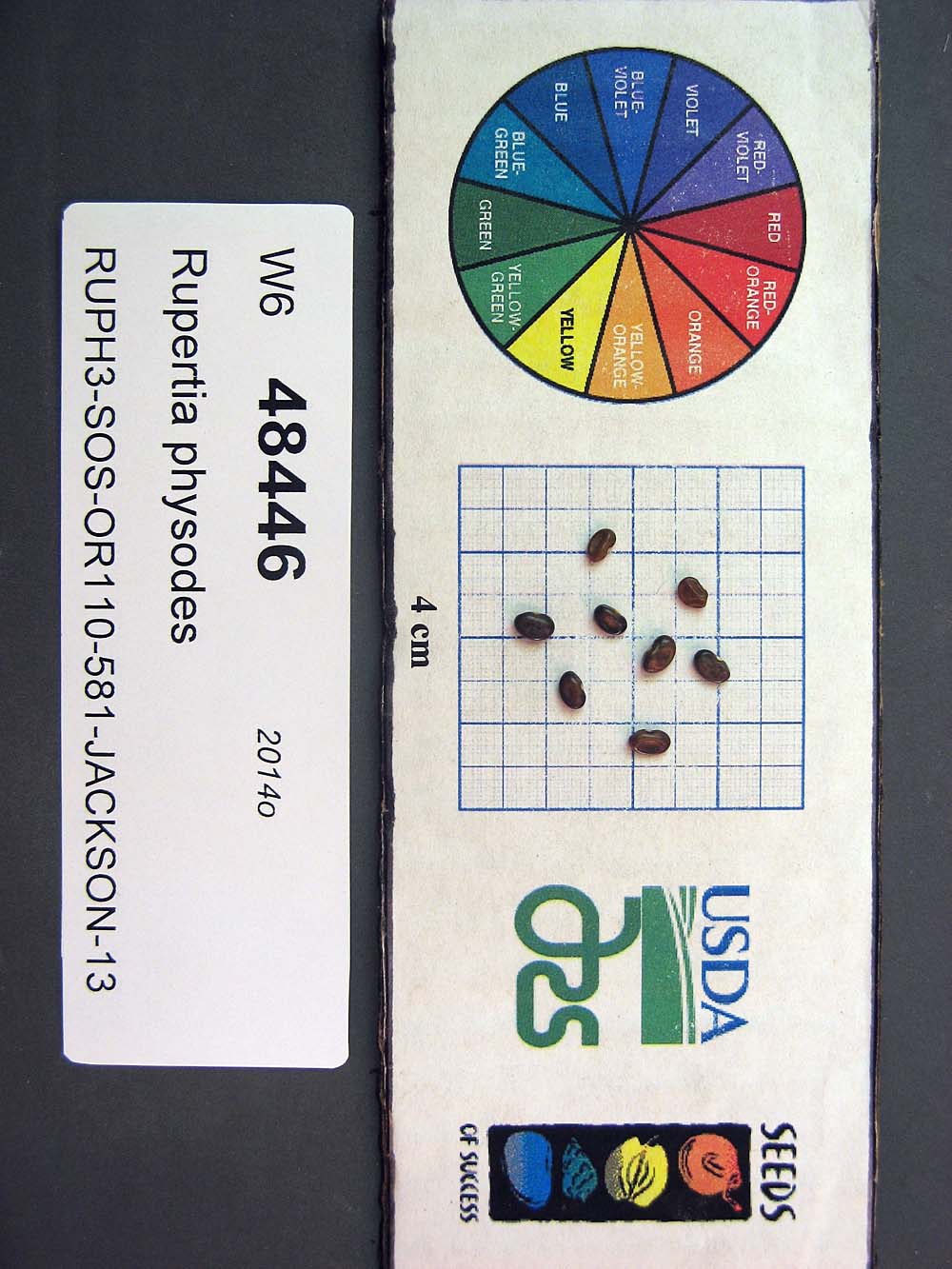 SEED