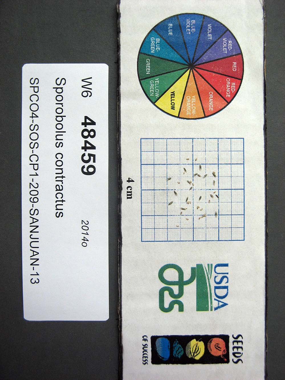SEED