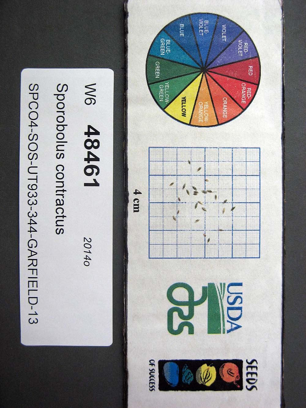 SEED