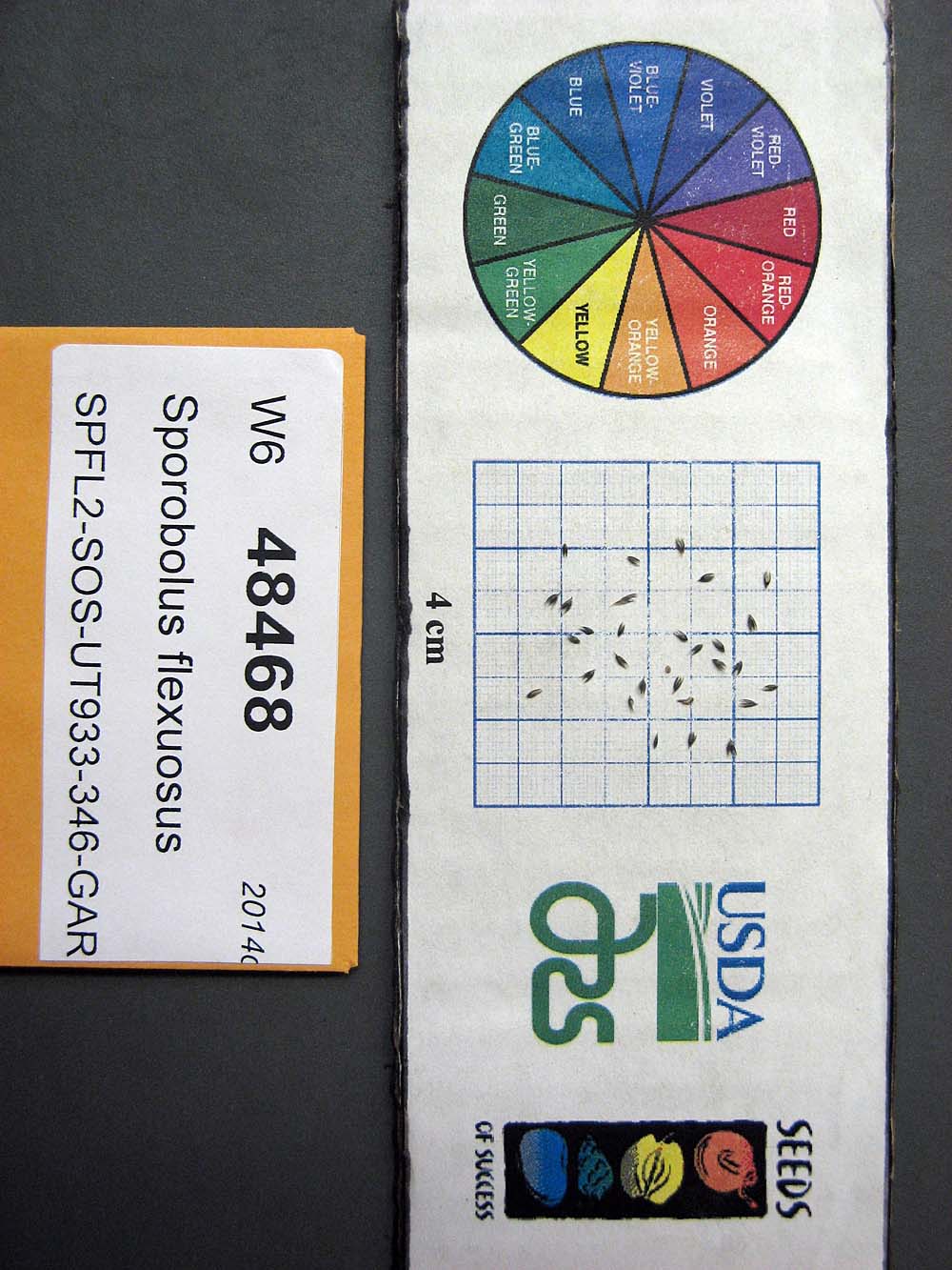 Click for 1 image(s) for this accession. SEED