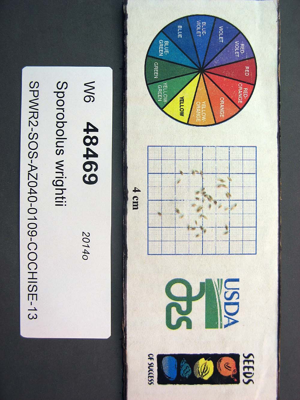Click for 1 image(s) for this accession. SEED