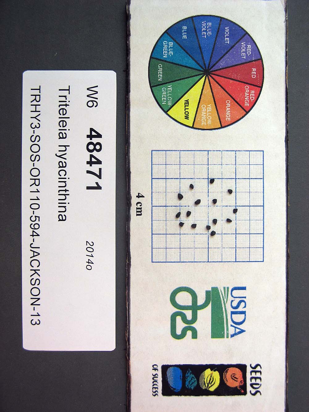 SEED
