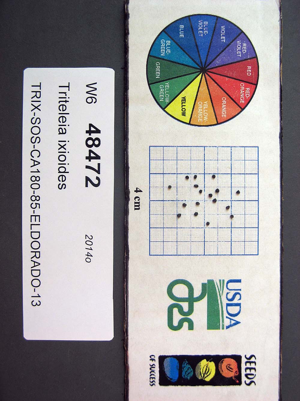 SEED