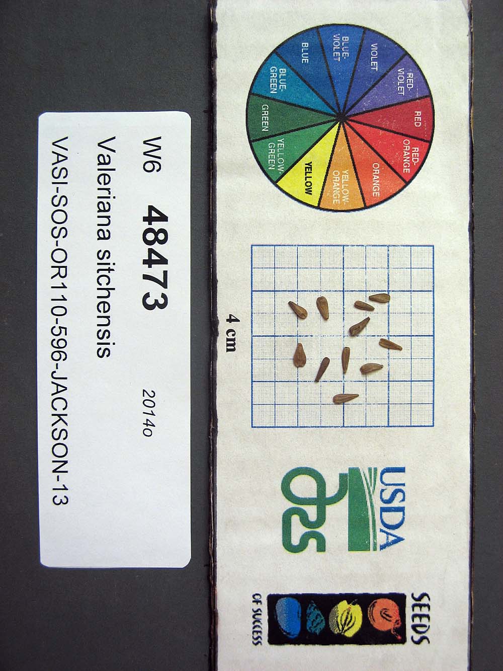 SEED