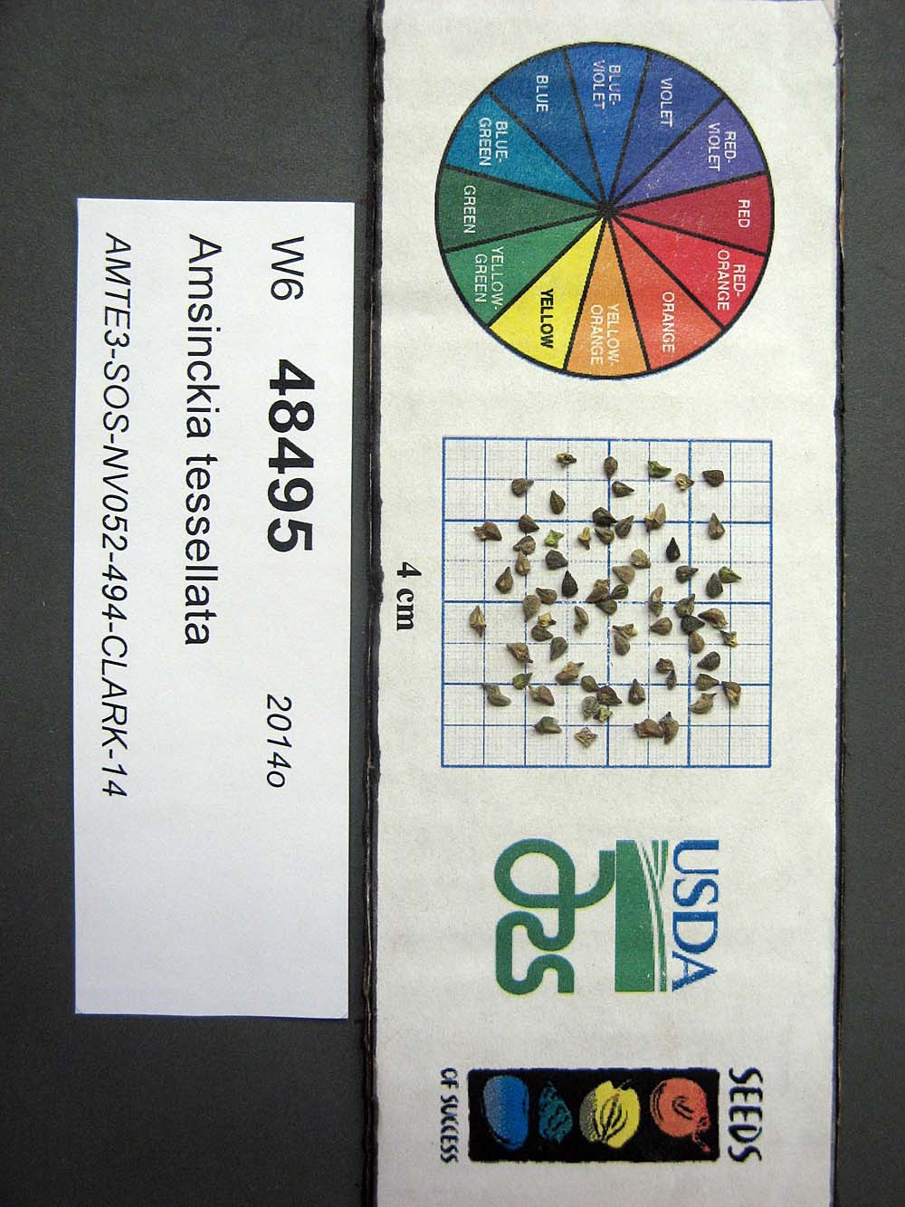 Click for 1 image(s) for this accession. SEED