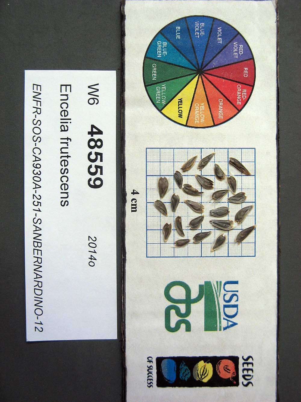 Click for 1 image(s) for this accession. SEED