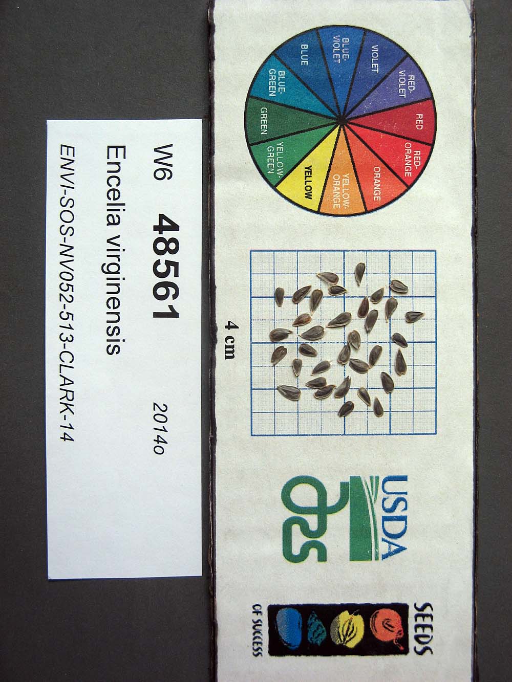 Click for 1 image(s) for this accession. SEED