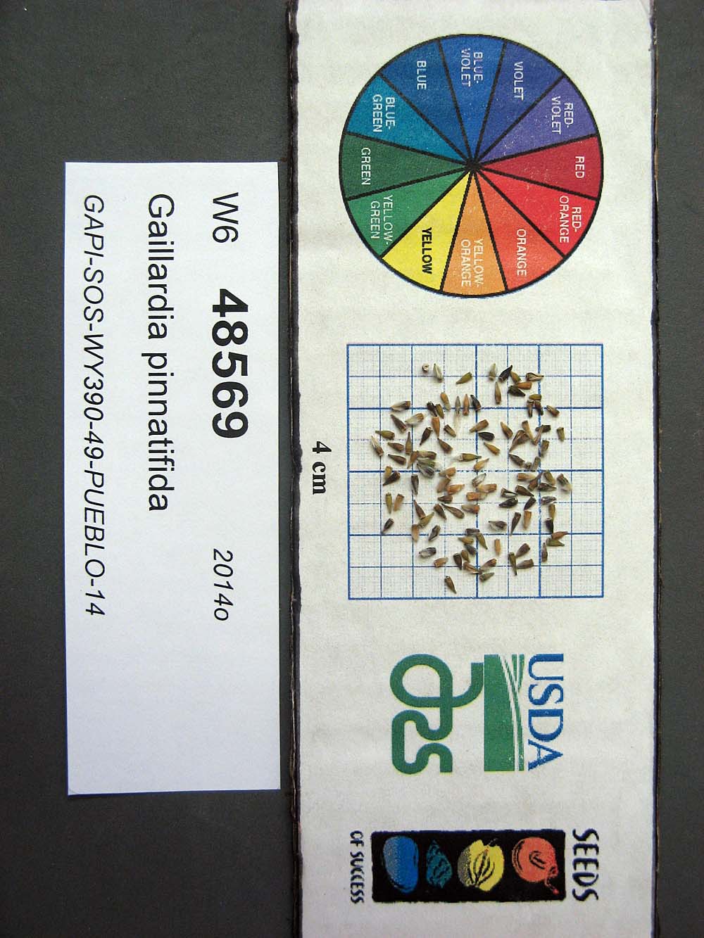 SEED