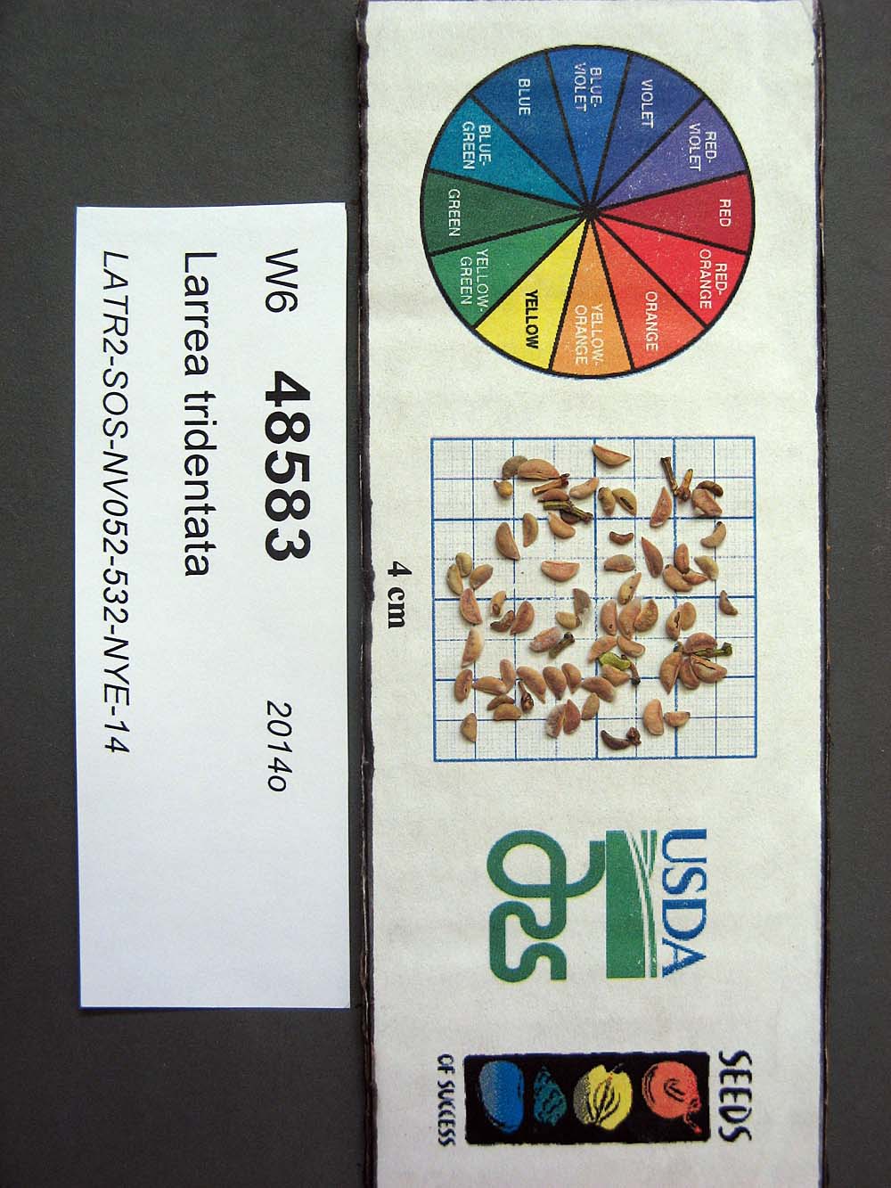 SEED