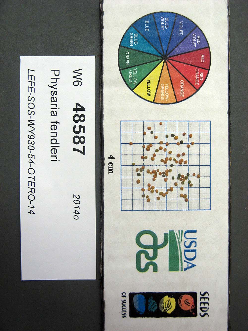 SEED