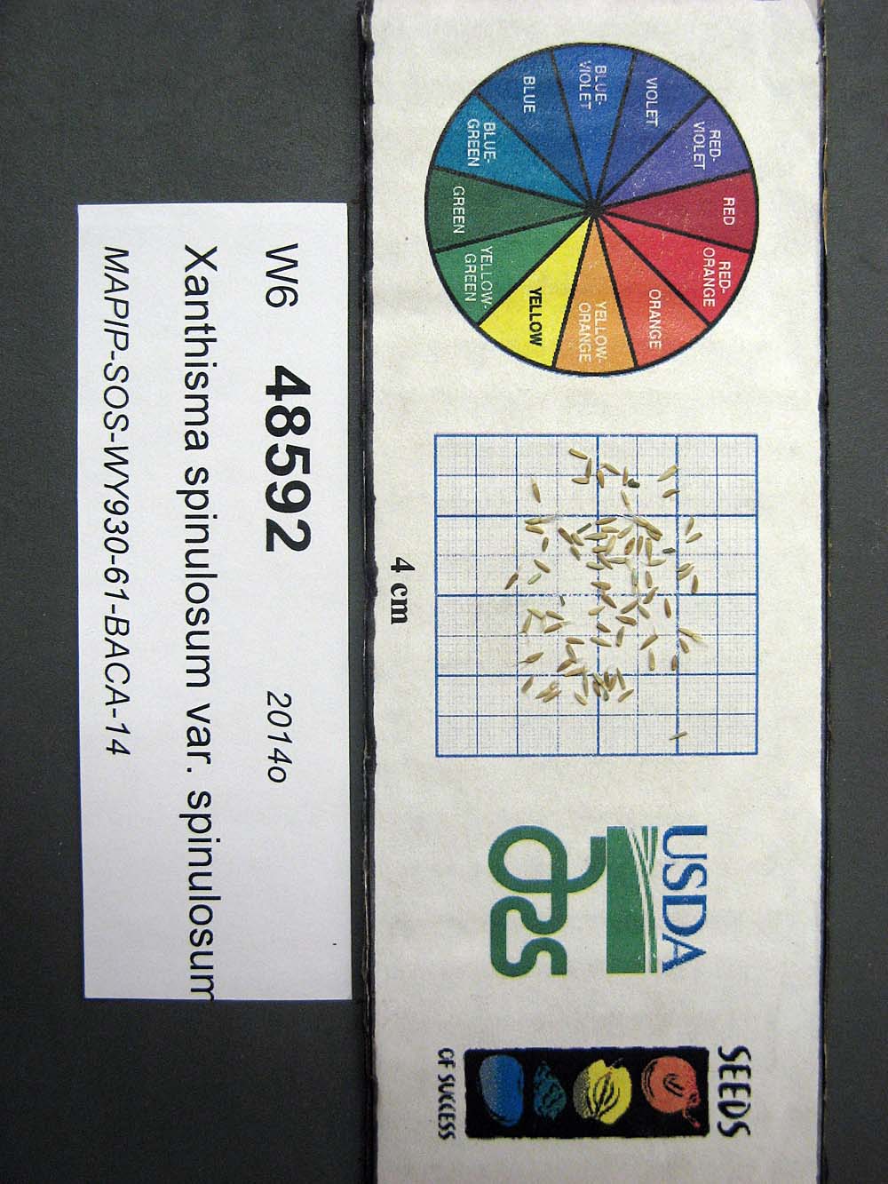 SEED