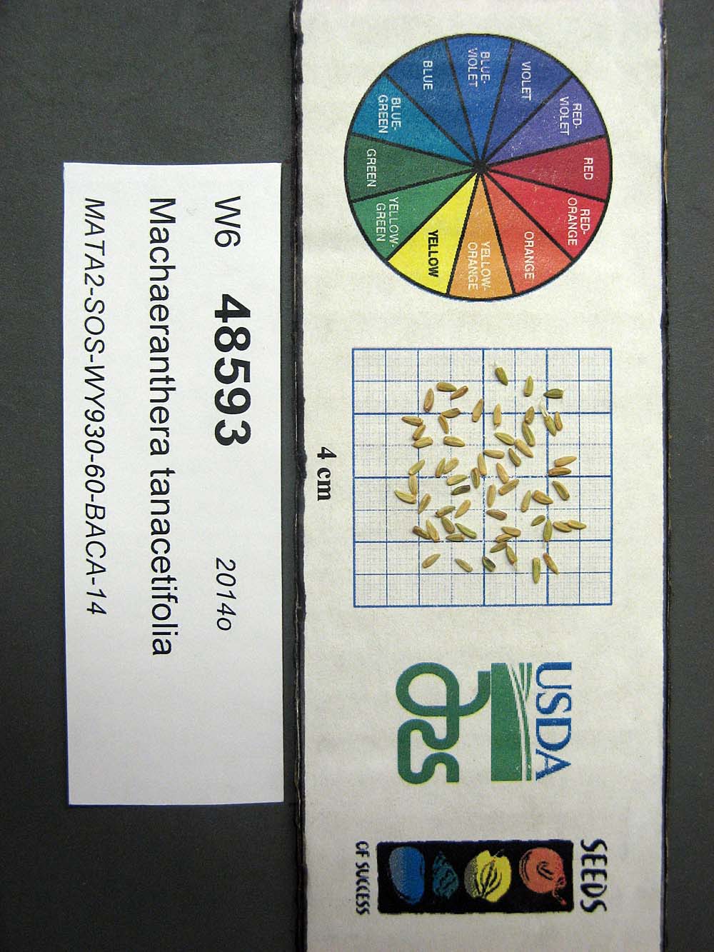 Click for 1 image(s) for this accession. SEED