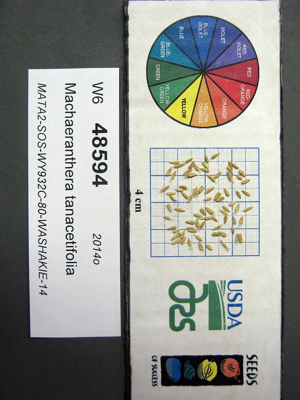 Click for 1 image(s) for this accession. SEED