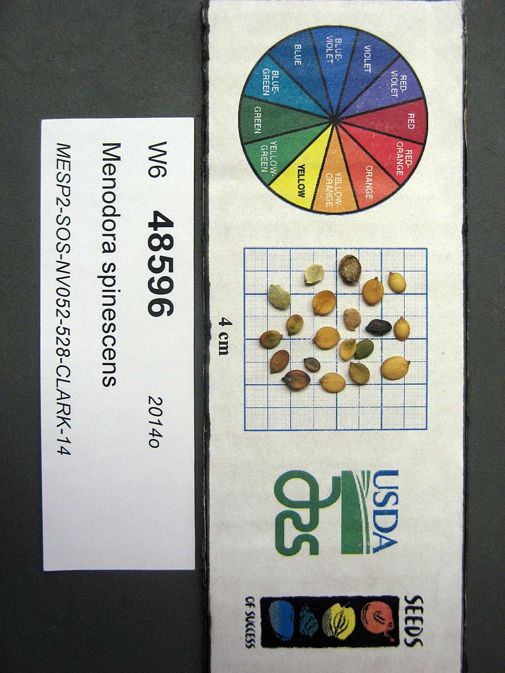 SEED