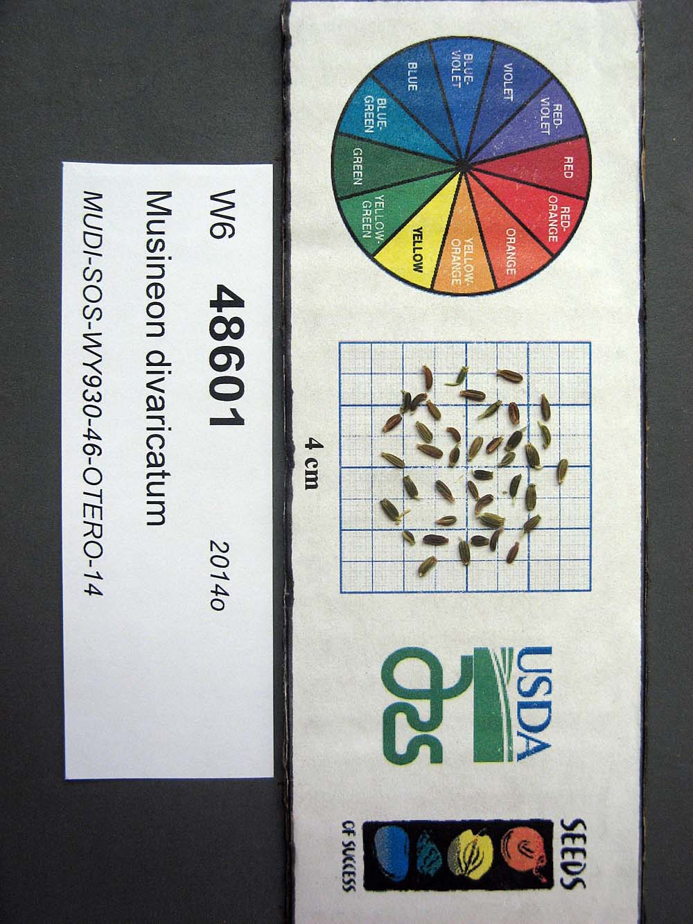 SEED