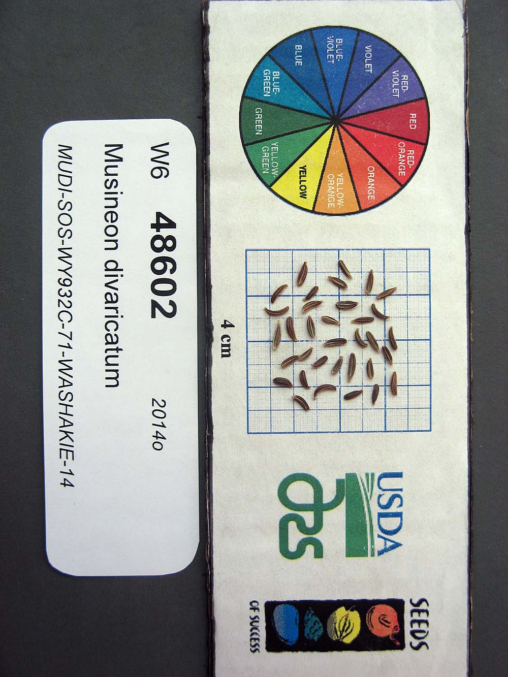 SEED