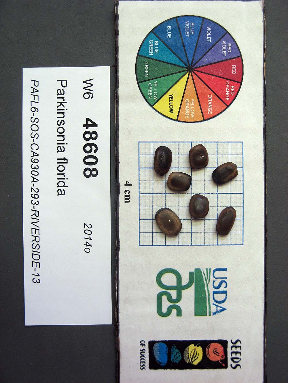 SEED