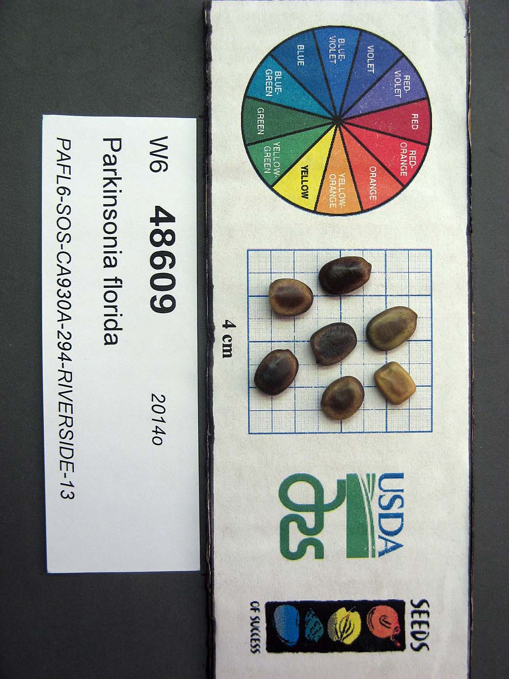 SEED