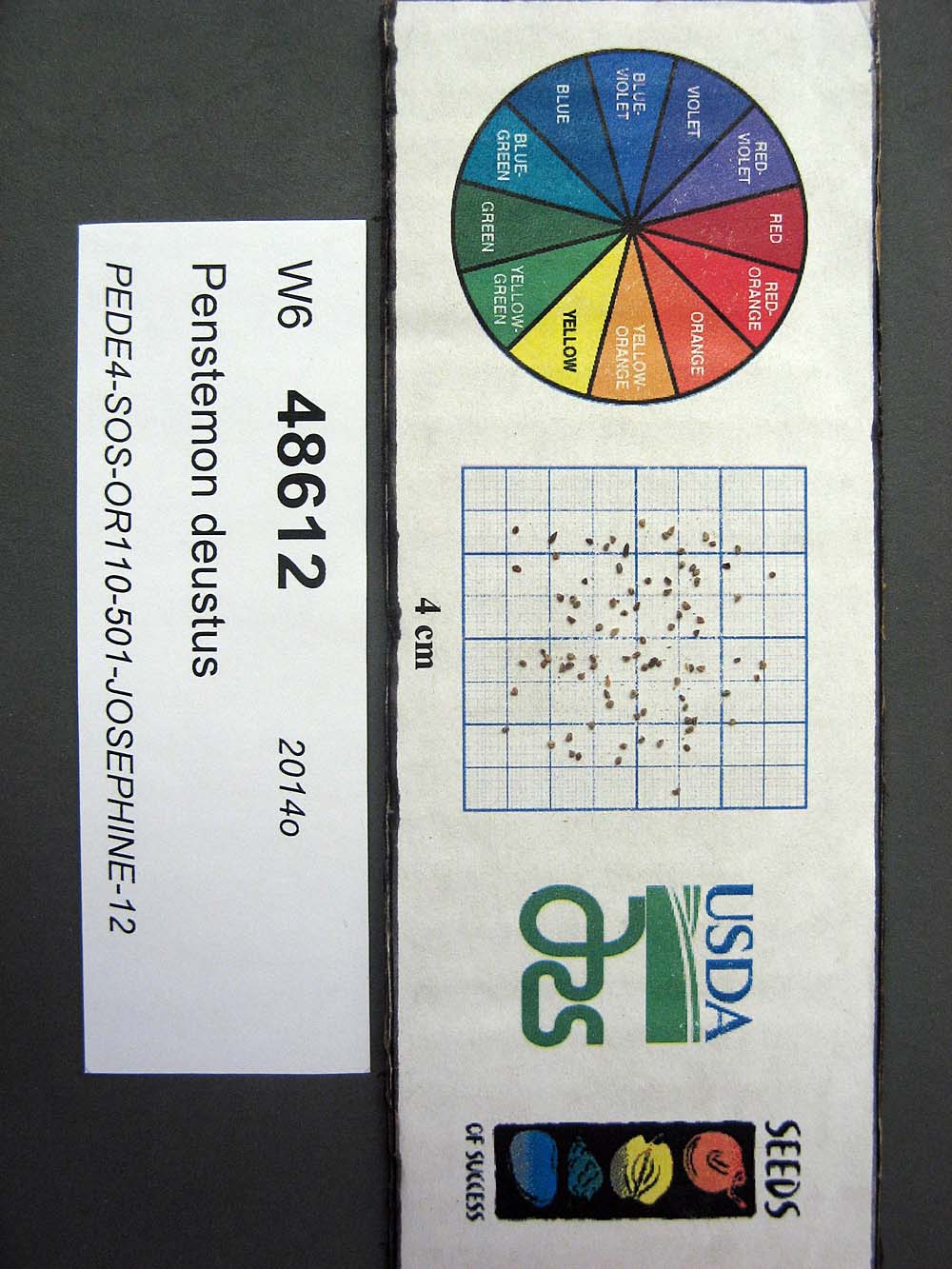 SEED