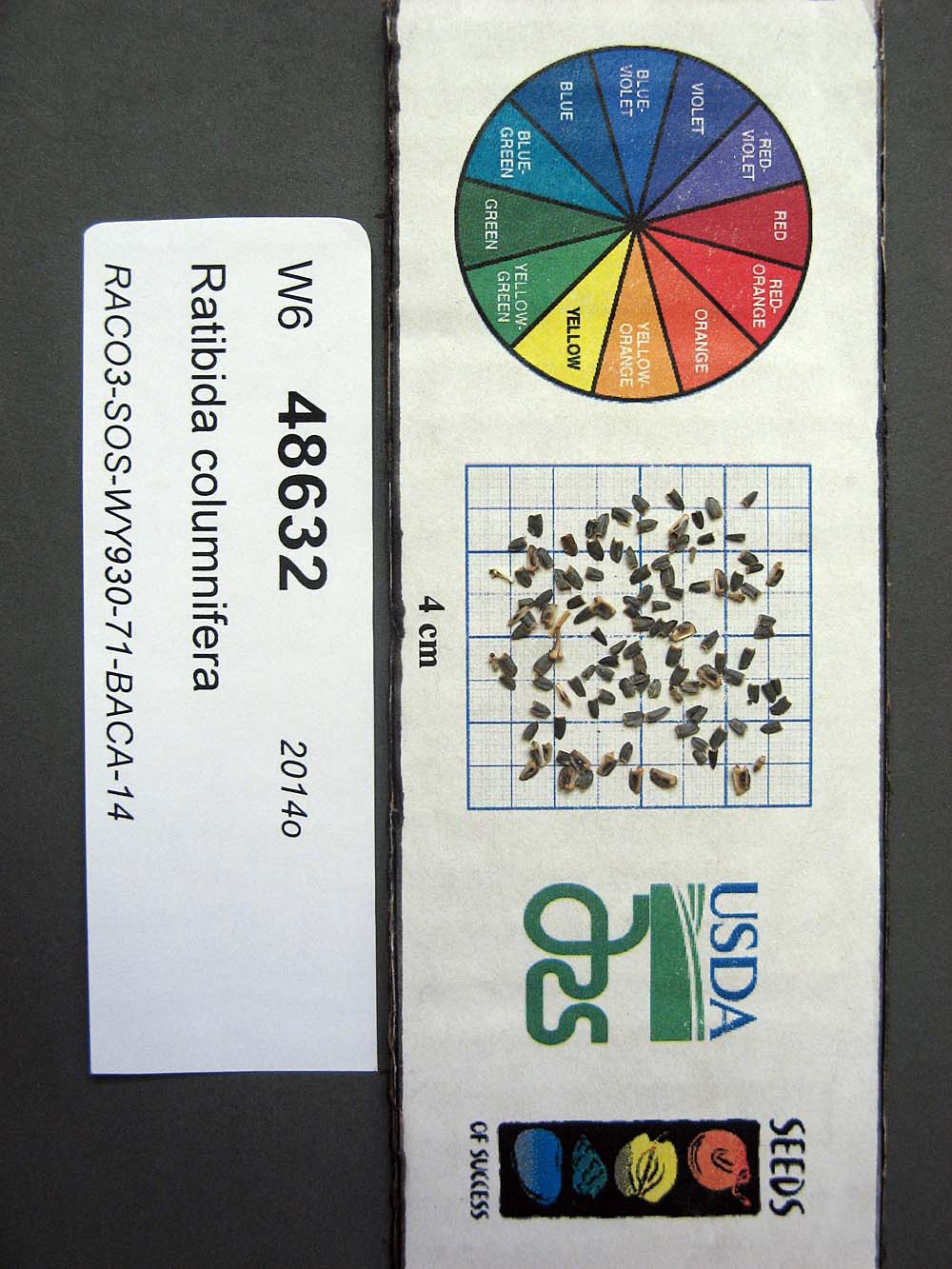 Click for 1 image(s) for this accession. SEED