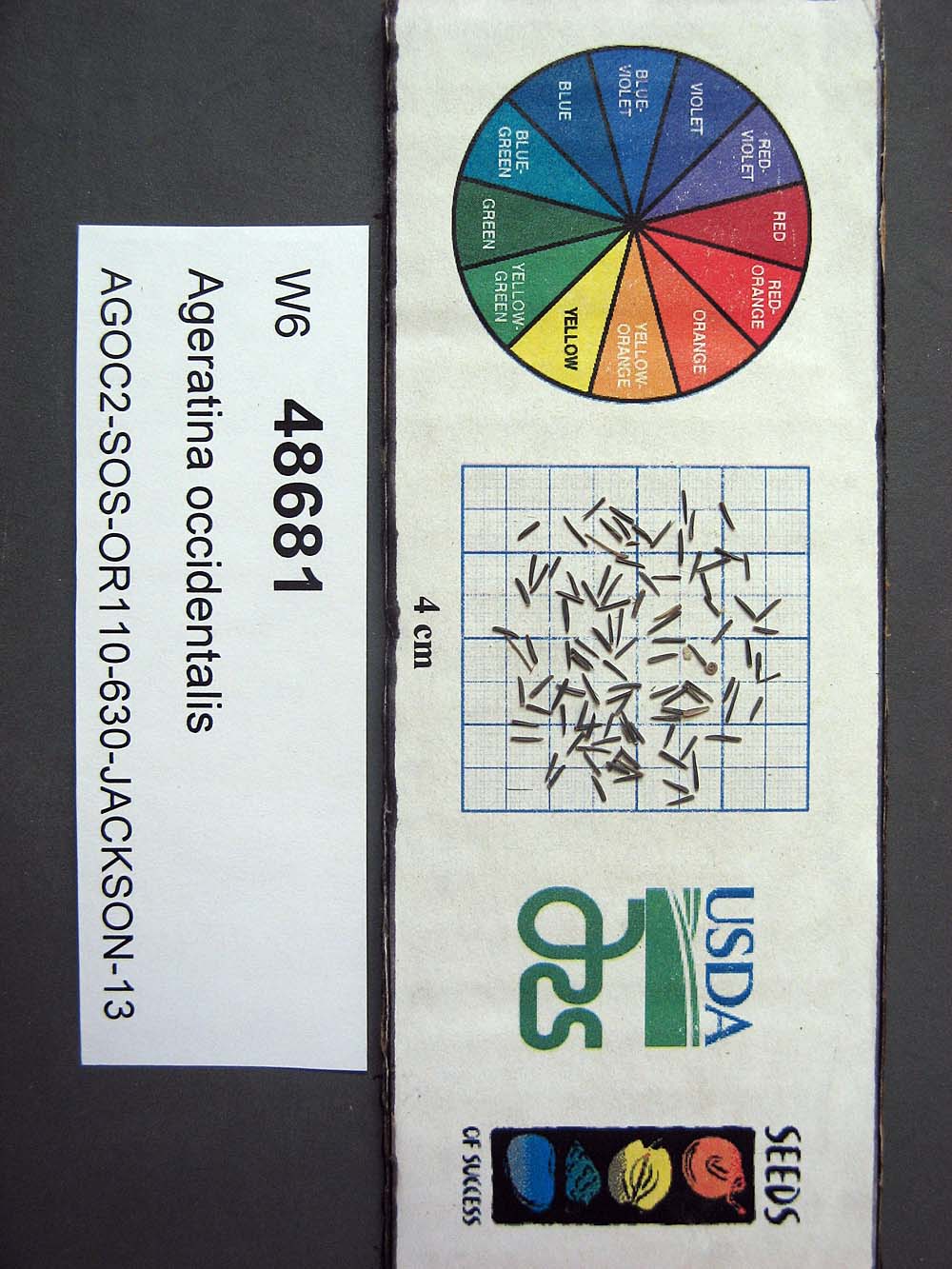 Click for 1 image(s) for this accession. SEED