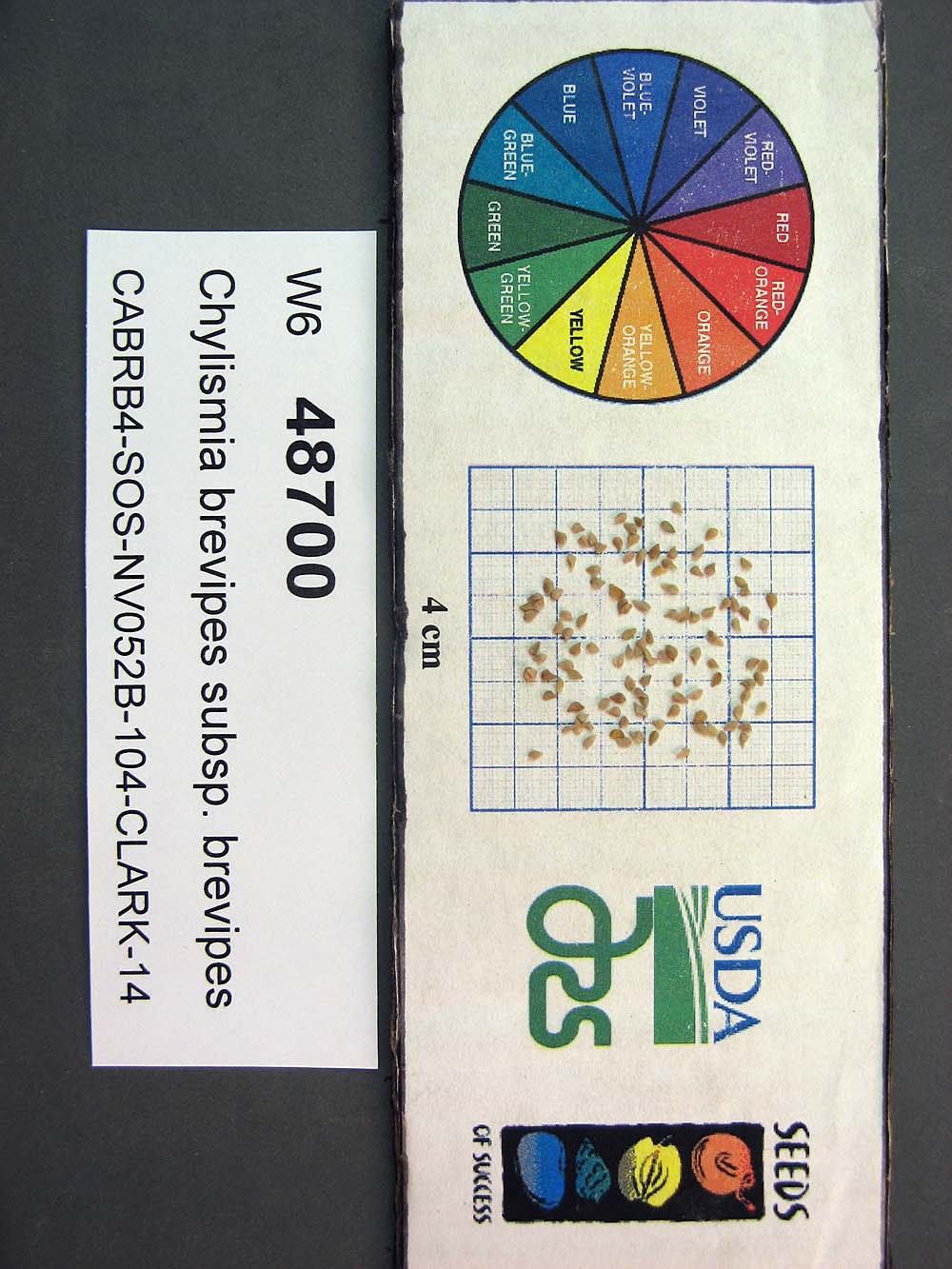 Click for 1 image(s) for this accession. SEED