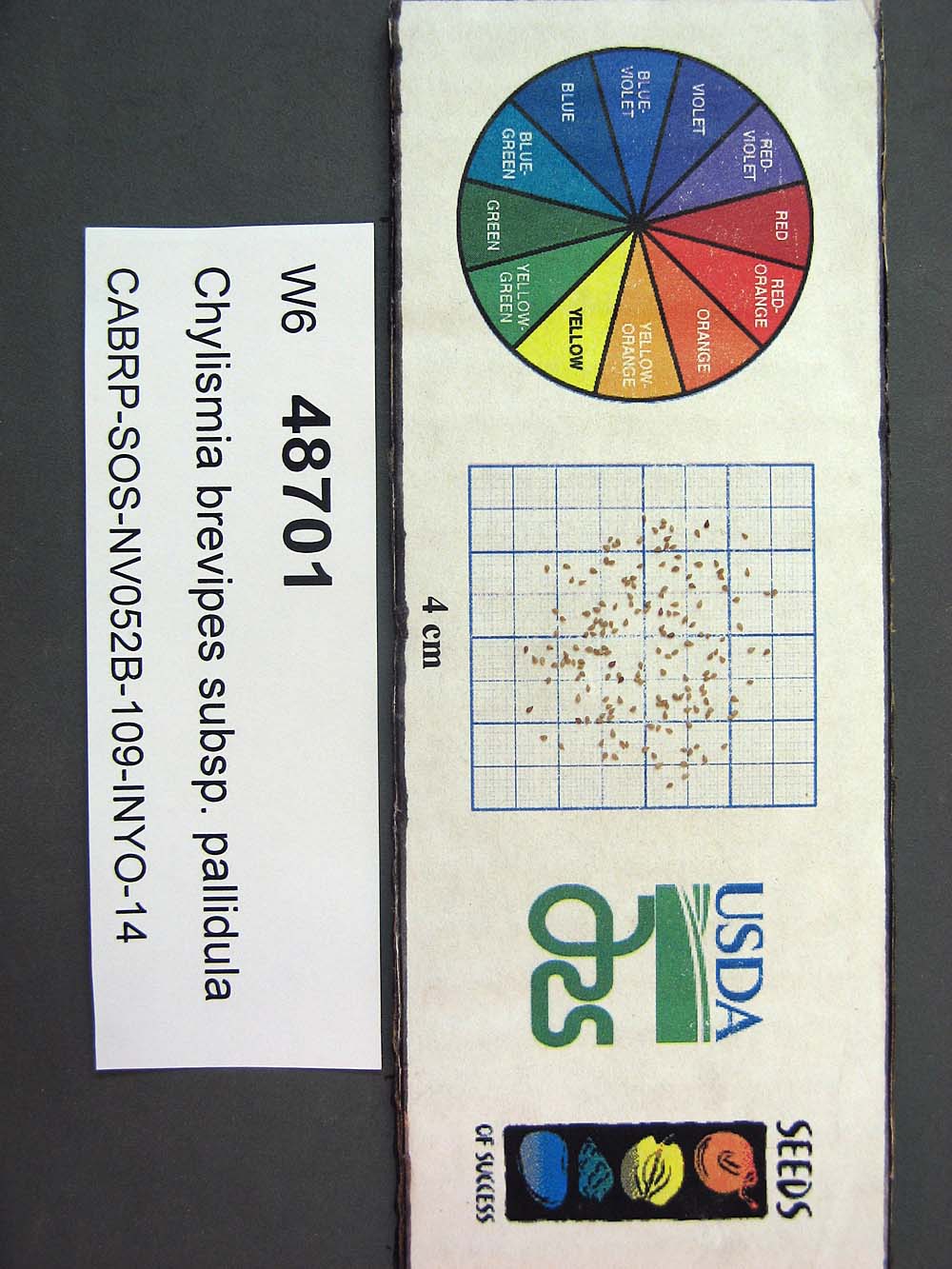Click for 1 image(s) for this accession. SEED