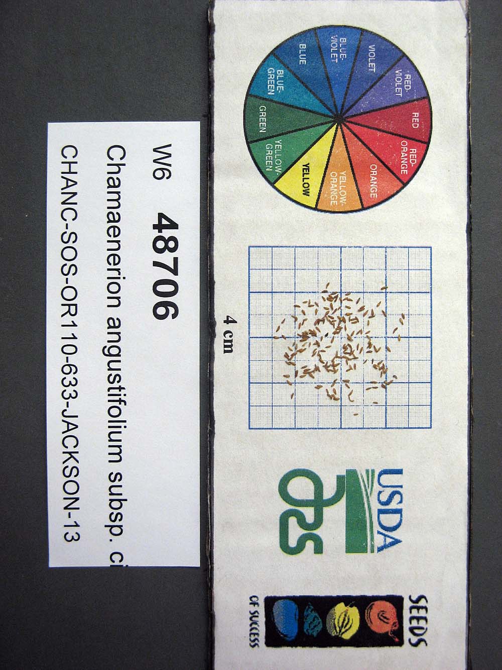 Click for 1 image(s) for this accession. SEED