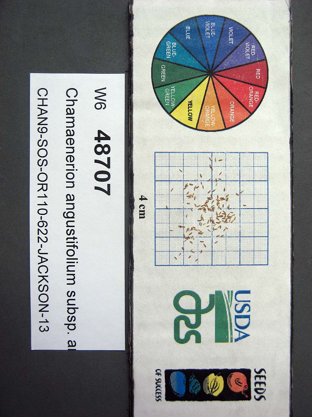 Click for 1 image(s) for this accession. SEED