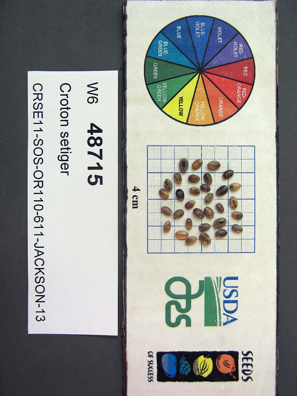 SEED