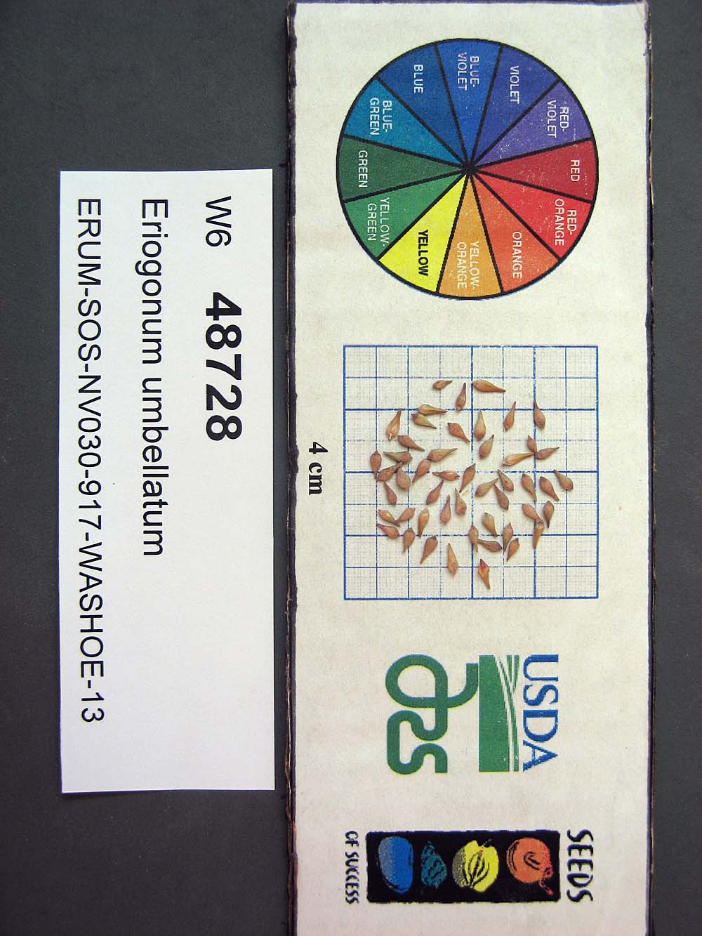 Click for 1 image(s) for this accession. SEED